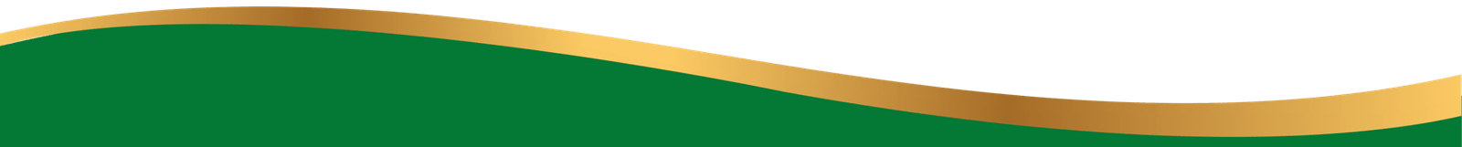 footer-border